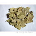 100g de feuilles de laurier assorties